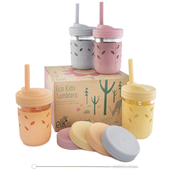 Cupcake Set of 4 Mason Jar Cups with Lids and Reusable Straws